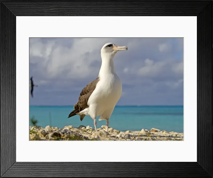 Framed Print : Picture No. 10891797 Framed Print : Picture No. 10891797