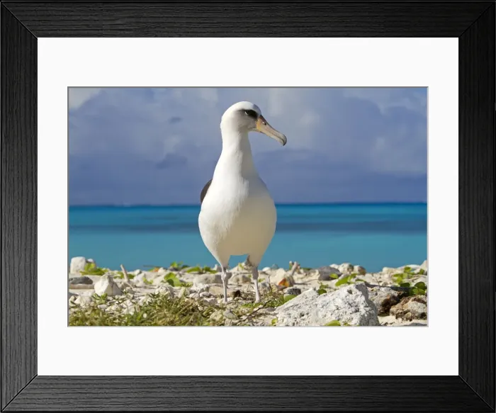 Framed Print : Picture No. 10891798 Framed Print : Picture No. 10891798