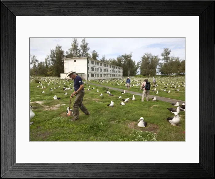 Framed Print : Picture No. 10891801