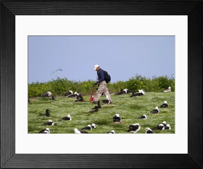 Framed Print : Picture No. 10891803 Framed Print : Picture No. 10891803