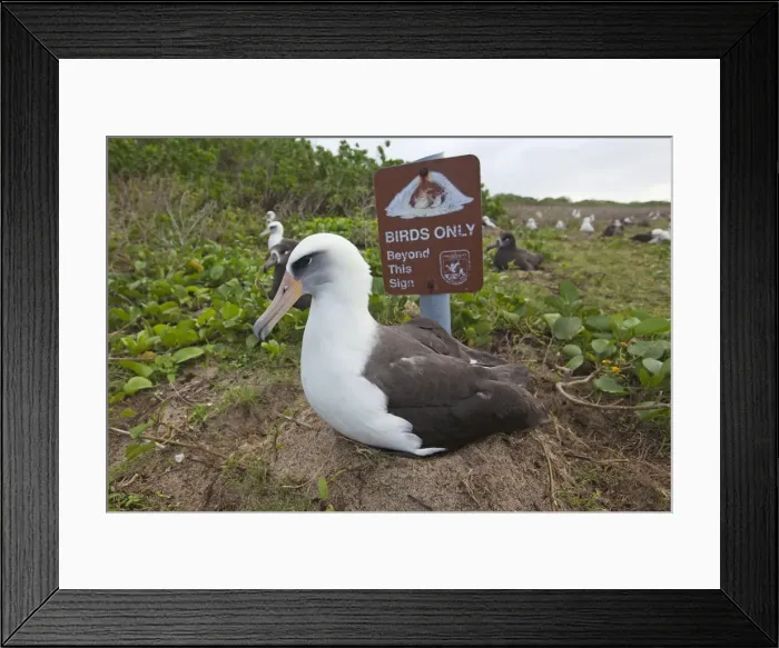Framed Print : Picture No. 10891802 Framed Print : Picture No. 10891802