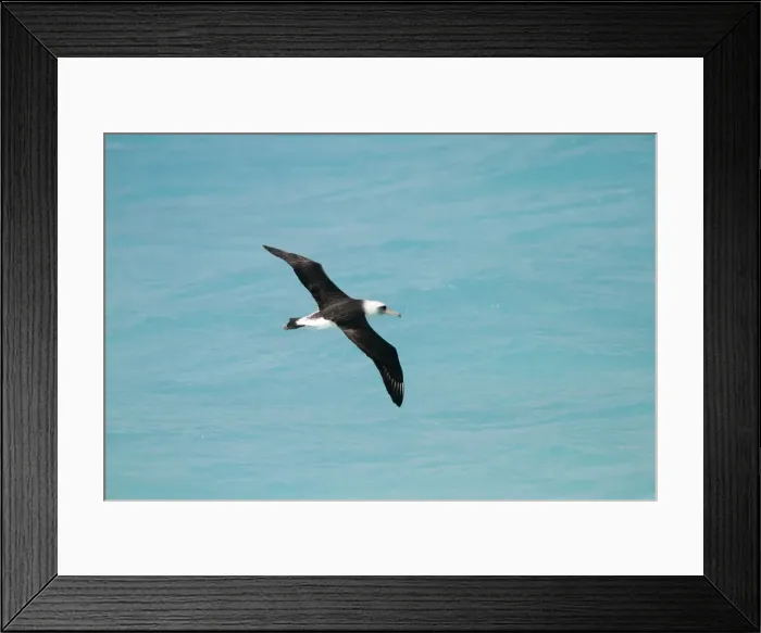 Framed Print : Picture No. 10891805 Framed Print : Picture No. 10891805