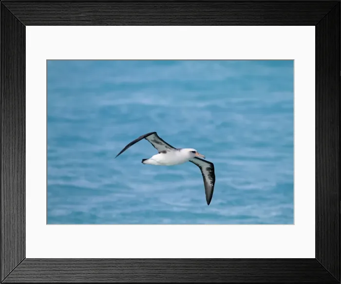 Framed Print : Picture No. 10891804 Framed Print : Picture No. 10891804