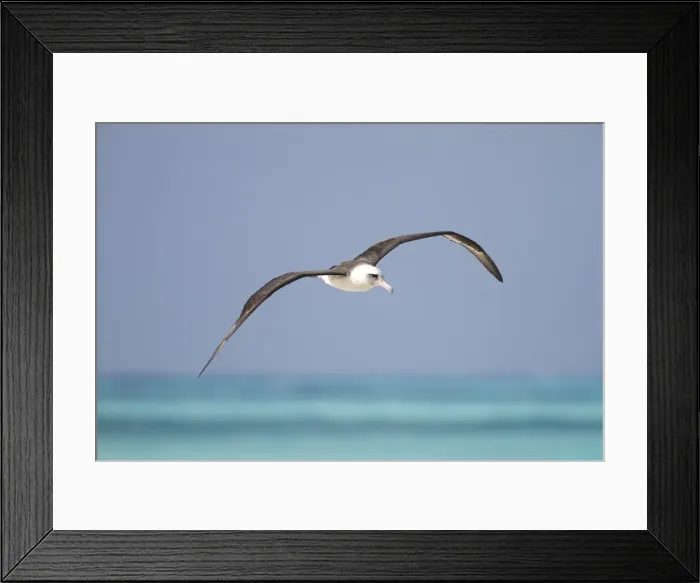Framed Print : Picture No. 10891806 Framed Print : Picture No. 10891806