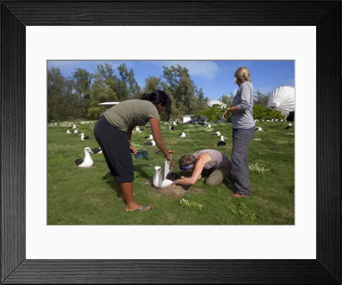 Framed Print : Picture No. 10891809 Framed Print : Picture No. 10891809