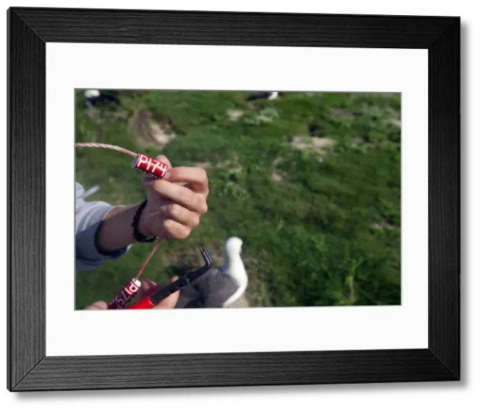 Framed Print : Picture No. 10891810 Framed Print : Picture No. 10891810