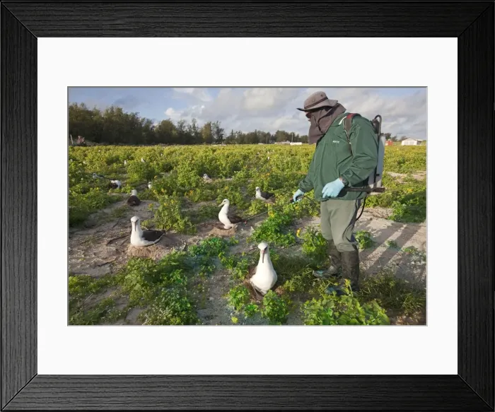 Framed Print : Picture No. 10891799 Framed Print : Picture No. 10891799