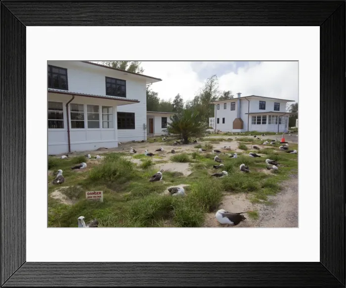Framed Print : Picture No. 10891811