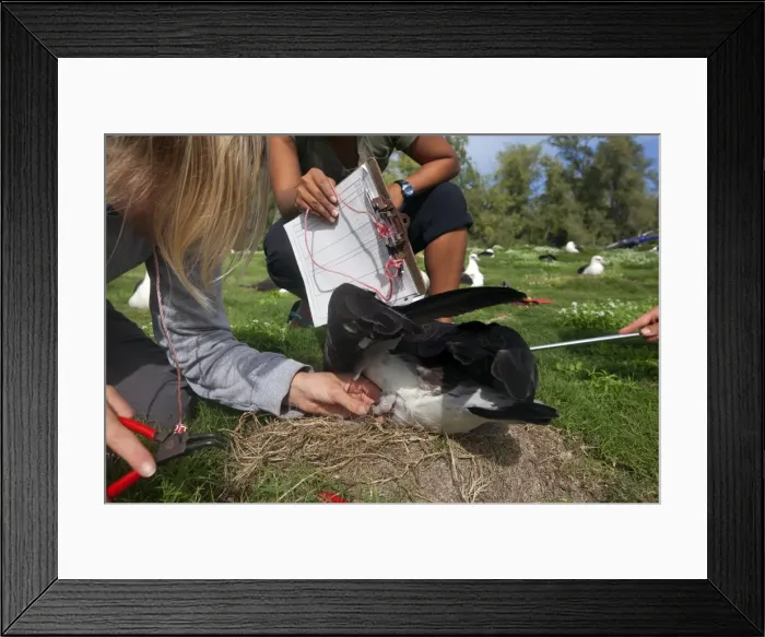Framed Print : Picture No. 10891808 Framed Print : Picture No. 10891808