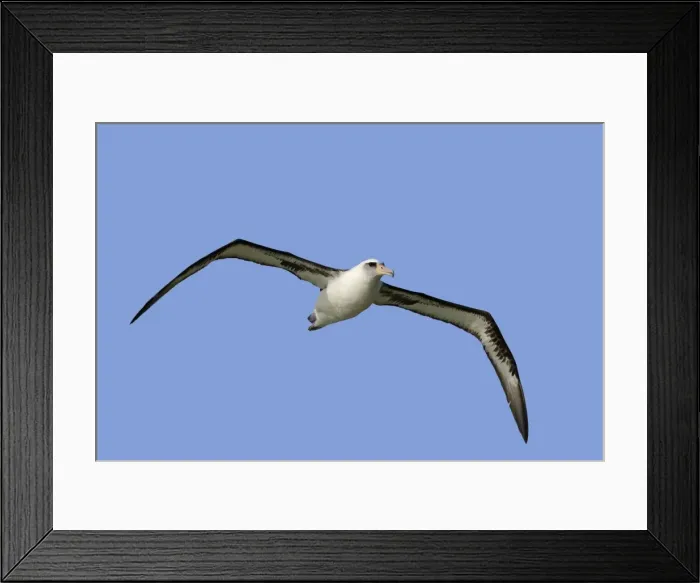 Framed Print : Picture No. 10891818 Framed Print : Picture No. 10891818