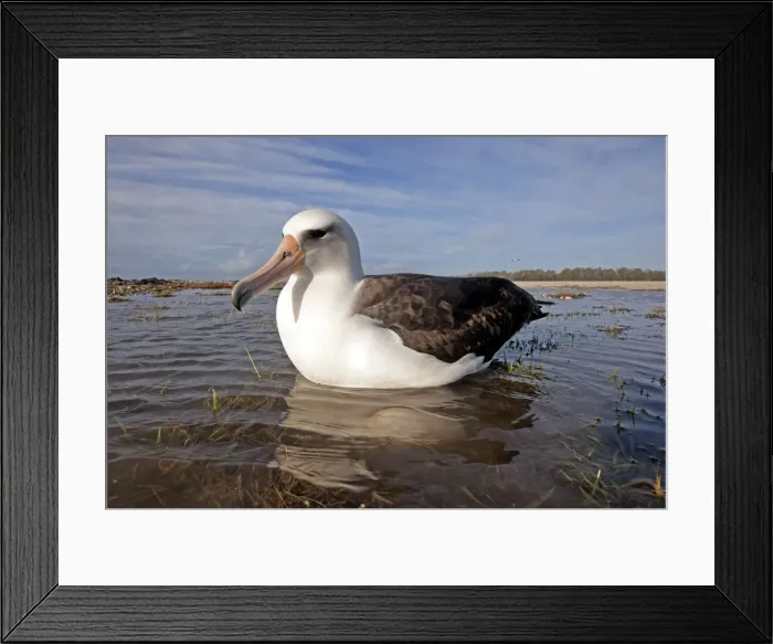 Framed Print : Picture No. 10891817 Framed Print : Picture No. 10891817