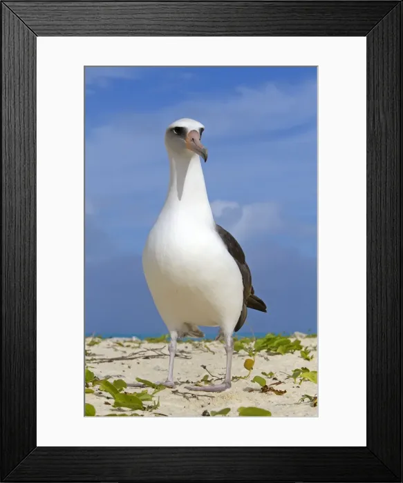 Framed Print : Picture No. 10891822 Framed Print : Picture No. 10891822