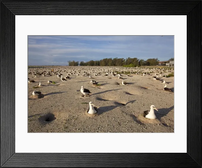 Framed Print : Picture No. 10891815 Framed Print : Picture No. 10891815