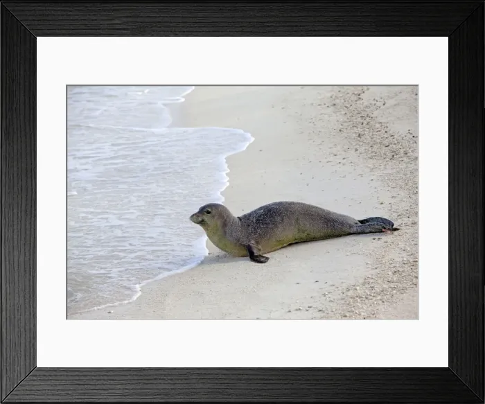 Framed Print : Picture No. 10891850 Framed Print : Picture No. 10891850