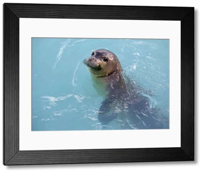 Framed Print : Picture No. 10891851 Framed Print : Picture No. 10891851