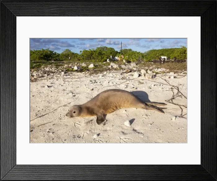Framed Print : Picture No. 10891852