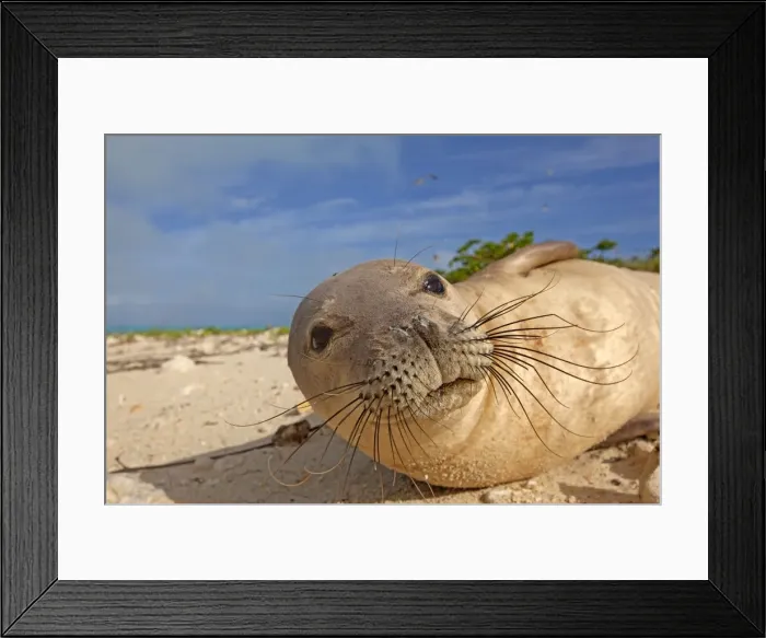 Framed Print : Picture No. 10891855 Framed Print : Picture No. 10891855