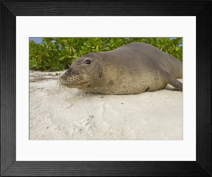 Framed Print : Picture No. 10891858 Framed Print : Picture No. 10891858