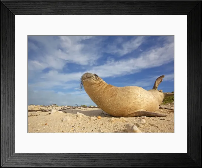 Framed Print : Picture No. 10891856 Framed Print : Picture No. 10891856