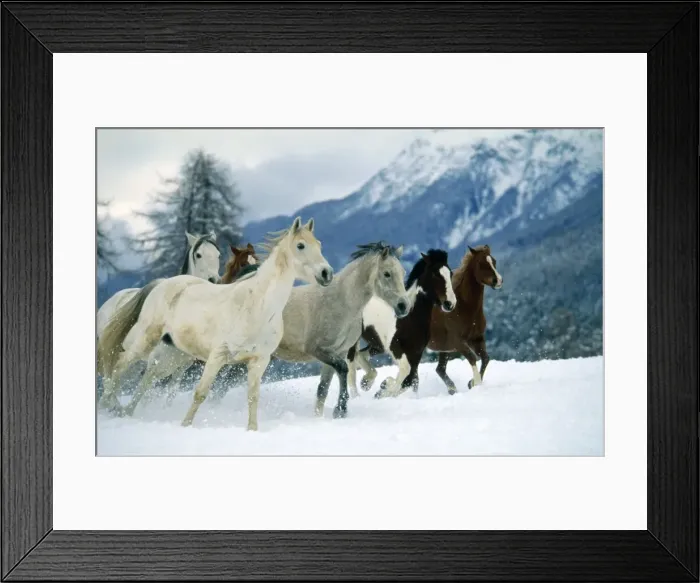 Framed Print : Picture No. 10891867 Framed Print : Picture No. 10891867