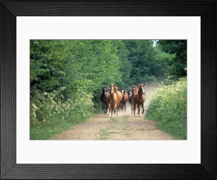 Framed Print : Picture No. 10891872