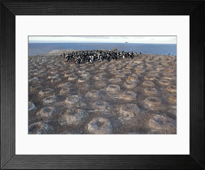 Framed Print : Picture No. 10891916 Framed Print : Picture No. 10891916