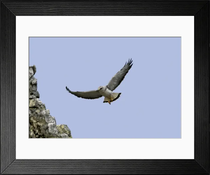 Framed Print : Picture No. 10891922 Framed Print : Picture No. 10891922