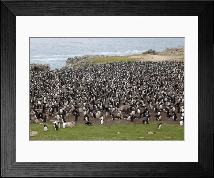 Framed Print : Picture No. 10891912 Framed Print : Picture No. 10891912