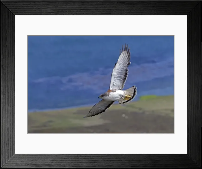Framed Print : Picture No. 10891918 Framed Print : Picture No. 10891918