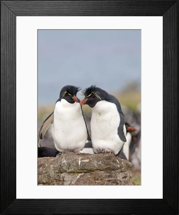 Framed Print : Picture No. 10891932 Framed Print : Picture No. 10891932