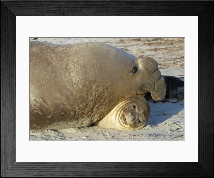 Framed Print : Picture No. 10891988 Framed Print : Picture No. 10891988