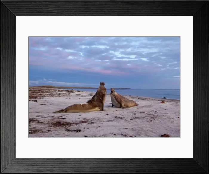 Framed Print : Picture No. 10891985 Framed Print : Picture No. 10891985