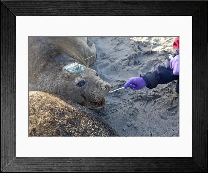 Framed Print : Picture No. 10891994 Framed Print : Picture No. 10891994