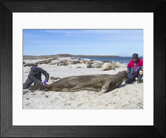 Framed Print : Picture No. 10891992 Framed Print : Picture No. 10891992