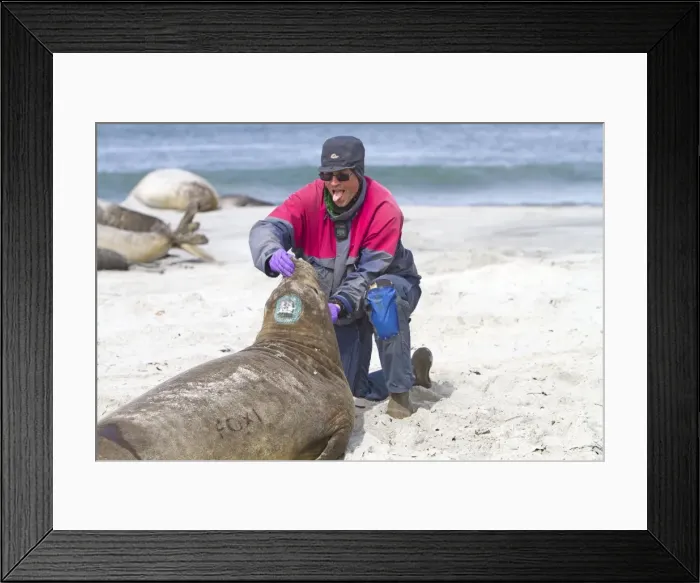 Framed Print : Picture No. 10891997 Framed Print : Picture No. 10891997