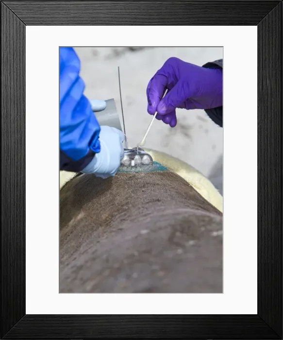 Framed Print : Picture No. 10891996 Framed Print : Picture No. 10891996