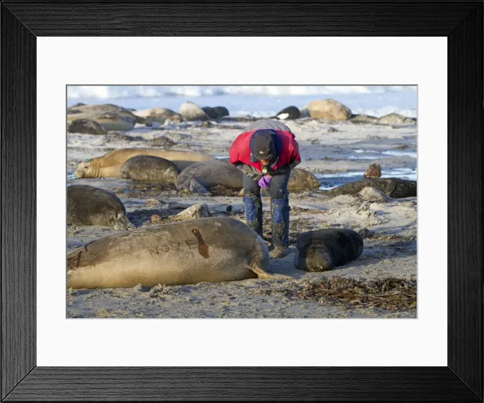 Framed Print : Picture No. 10891995 Framed Print : Picture No. 10891995