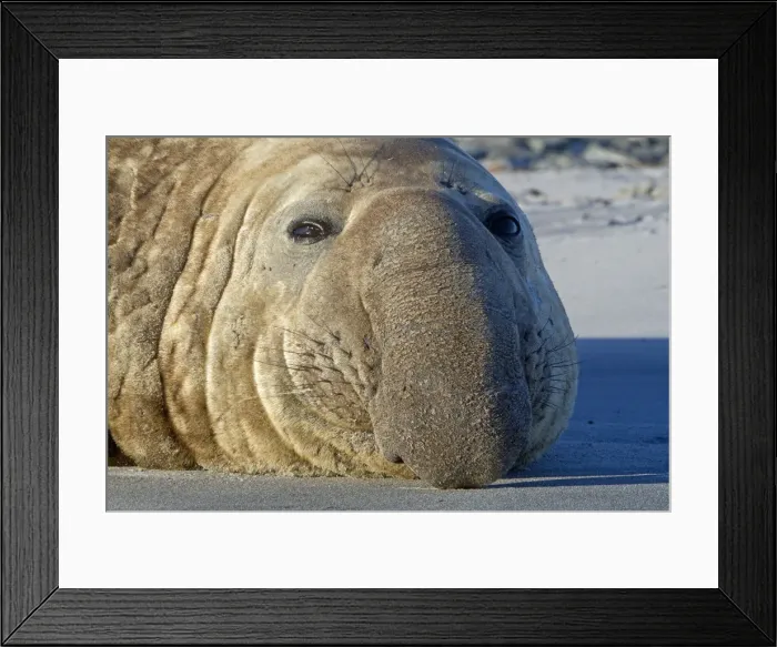 Framed Print : Picture No. 10892009 Framed Print : Picture No. 10892009
