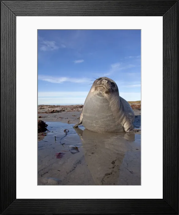 Framed Print : Picture No. 10892018 Framed Print : Picture No. 10892018