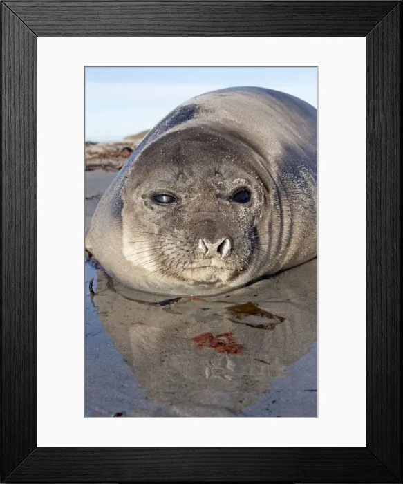 Framed Print : Picture No. 10892019 Framed Print : Picture No. 10892019