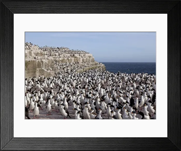 Framed Print : Picture No. 10892030 Framed Print : Picture No. 10892030
