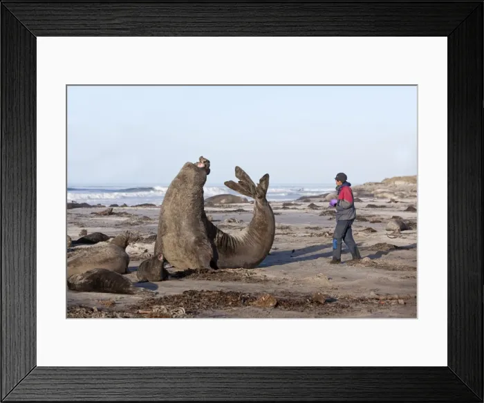 Framed Print : Picture No. 10892034 Framed Print : Picture No. 10892034