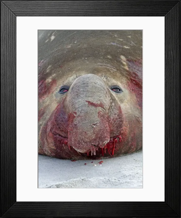 Framed Print : Picture No. 10892039 Framed Print : Picture No. 10892039