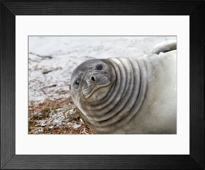 Framed Print : Picture No. 10892048 Framed Print : Picture No. 10892048