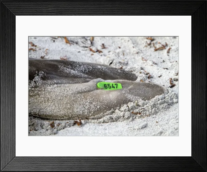 Framed Print : Picture No. 10892050 Framed Print : Picture No. 10892050