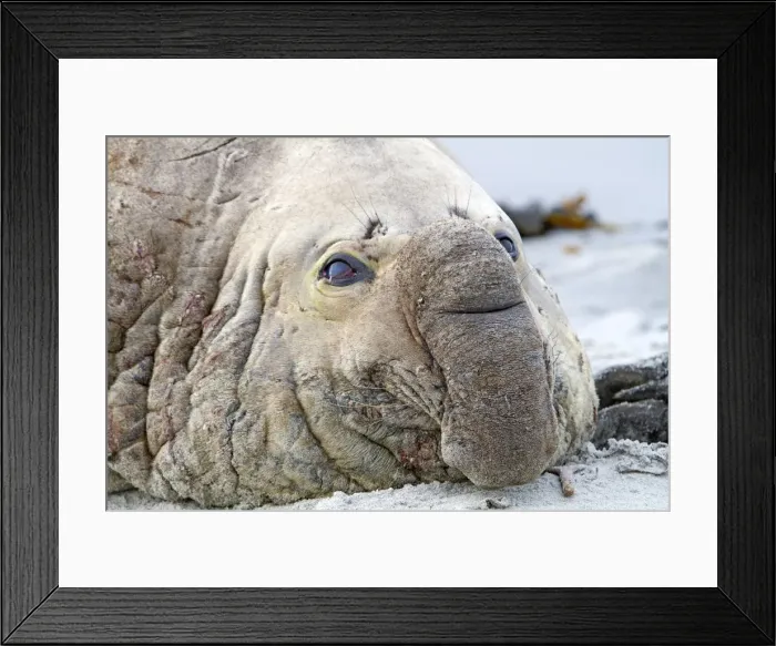 Framed Print : Picture No. 10892045