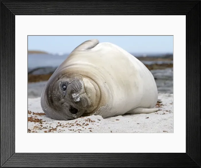 Framed Print : Picture No. 10892054 Framed Print : Picture No. 10892054