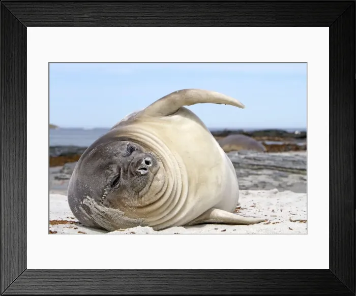 Framed Print : Picture No. 10892055 Framed Print : Picture No. 10892055