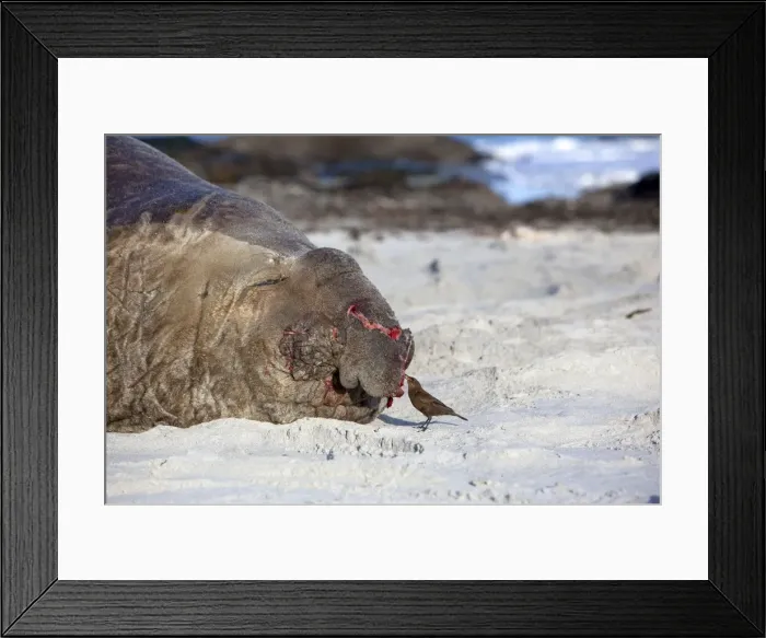 Framed Print : Picture No. 10892058 Framed Print : Picture No. 10892058