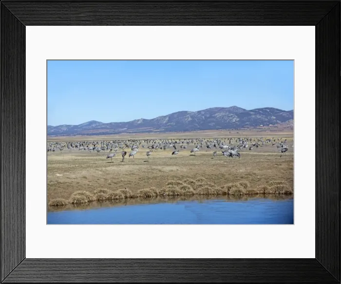 Framed Print : Picture No. 10892125 Framed Print : Picture No. 10892125